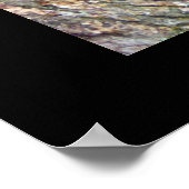 Motivation Lebensunterricht aus einer Cat Fine Art Poster (Ecke)