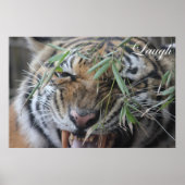 Motivieren, Motivierend, lachen Poster (Vorne)