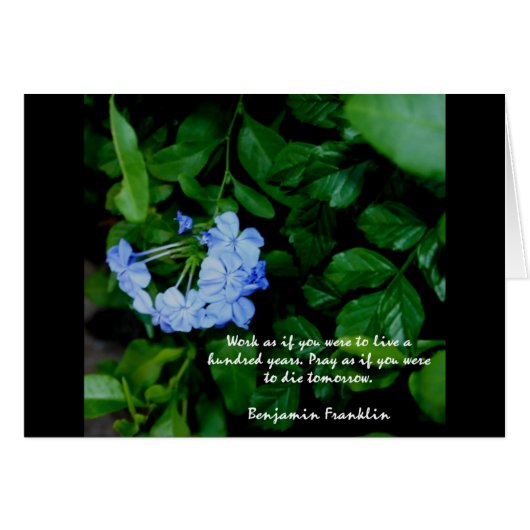 Motivierend (Vorderseite (Horizontal))