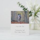 Motivierend Abschluss Hundeleziffer Postkarte (Stehend Vorderseite)