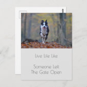 Motivierend Abschluss Hundeleziffer Postkarte (Vorne/Hinten)