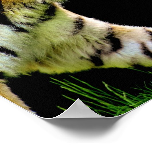 motivierend Angebot für Tigerleistung Poster (Ecke)
