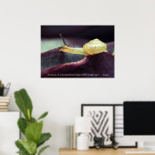 Motivierend Angebotsdauer Poster (Heimbüro)