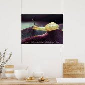 Motivierend Angebotsdauer Poster (Küche)