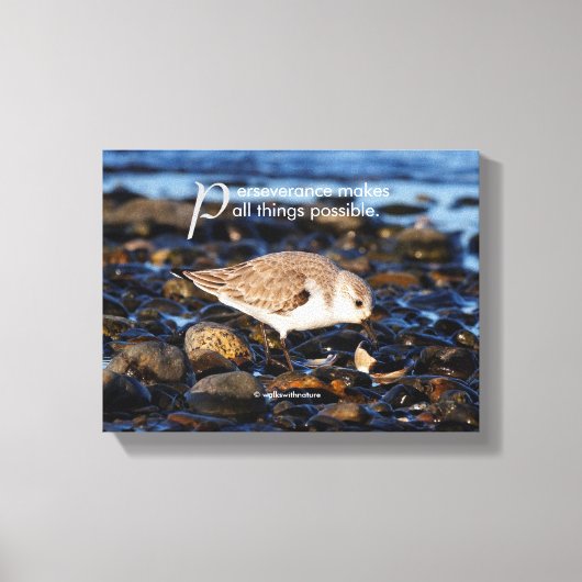 Motivierend "Beharrlichkeit macht ..." Sanderling Leinwanddruck (Vorderseite)