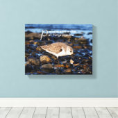 Motivierend "Beharrlichkeit macht ..." Sanderling Leinwanddruck (Insitu (Holzboden))