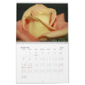 Motivierend Blumenkalender Kalender (Feb 2027)