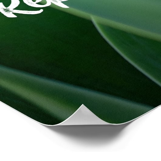 Motivierend Buddha Poster (Ecke)