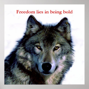 Motivierend Courage Wolf Eyes Poster