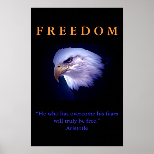 Motivierend Freedom Courage Eagle Poster Print (Vorne)
