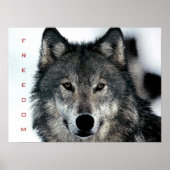 Motivierend Freedom Courage Wolf Poster Print (Vorne)