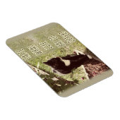 Motivierend Geschmack von Life Cat Zitat Kunst Spa Magnet (Rechte Seite)