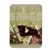 Motivierend Geschmack von Life Cat Zitat Kunst Spa Magnet (Vertikal)