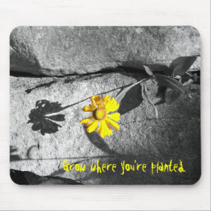 Motivierend "Grow where you re pflanzed" Mousepad