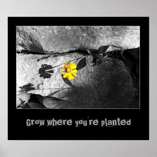 Motivierend "Growth" Poster (Vorne)