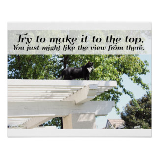Motivierend Make it to Top Cat Sprichwort Poster