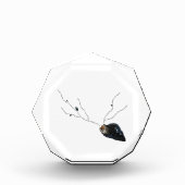 Motivierend Poesie Dekoration Schreibtischzubehör Fotoblock (Vorderseite)