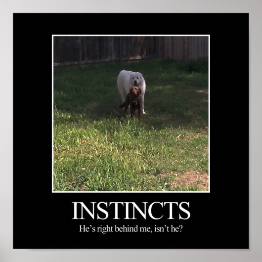 Motivierend Poster, INSTINCTS Poster (Vorne)