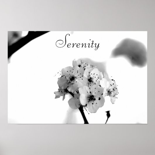 Motivierend Poster-Serenity Poster (Vorne)
