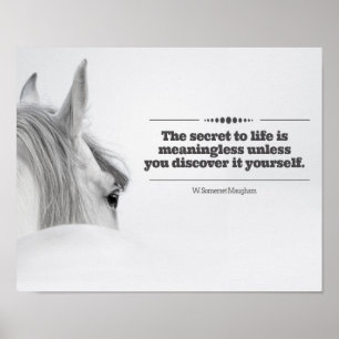 Motivierend Poster "The Secret to Life.."