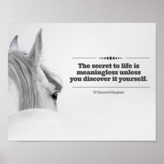 Motivierend Poster "The Secret to Life.."