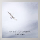 Motivierend Seagull Carpe Diem French Fries Mini Poster (Vorne)