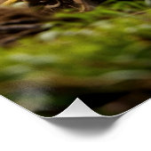 Moto-Mischen - Motocross-Renner Poster (Ecke)