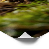 Moto-Mischen - Motocross-Renner Poster (Ecke)