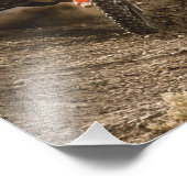Motocross Rider Fotodruck (Ecke)