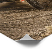 Motocross Rider Poster (Ecke)