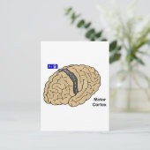 Motor Cortex Postkarte (Stehend Vorderseite)