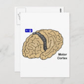 Motor Cortex Postkarte (Vorne/Hinten)