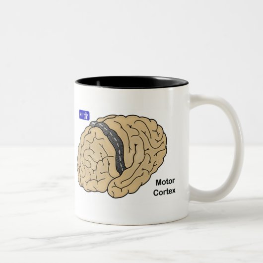 Motor Cortex Zweifarbige Tasse (Rechts)