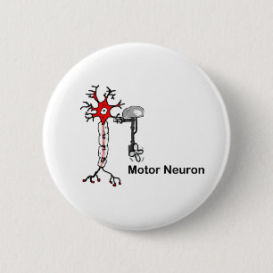 Motor Neuron Button