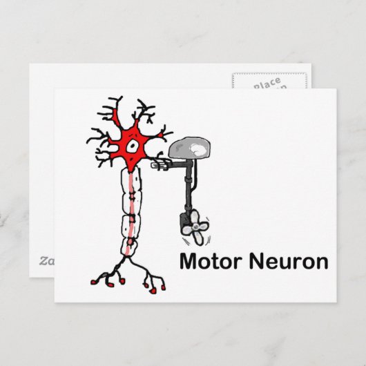 Motor Neuron Postkarte (Vorne/Hinten)
