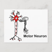 Motor Neuron Postkarte (Vorderseite)