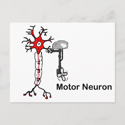 Motor Neuron Postkarte (Vorderseite)