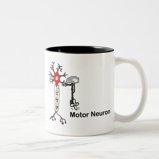 Motor Neuron Zweifarbige Tasse (Rechts)