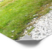 Motor Zebedee im Lappatal Poster (Ecke)