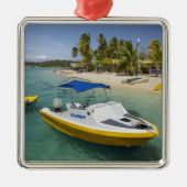 Motorboot und Bananenboot Silbernes Ornament (Vorne)