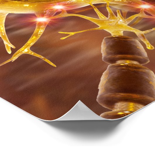 Motorneuronen Poster (Ecke)