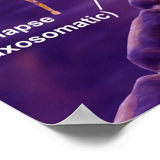 Motorneuronen Poster (Ecke)