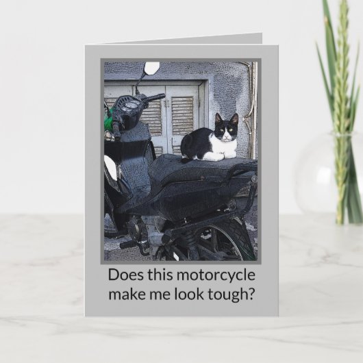 MOTORRAD KATZE /HUMOR (Vorderseite)