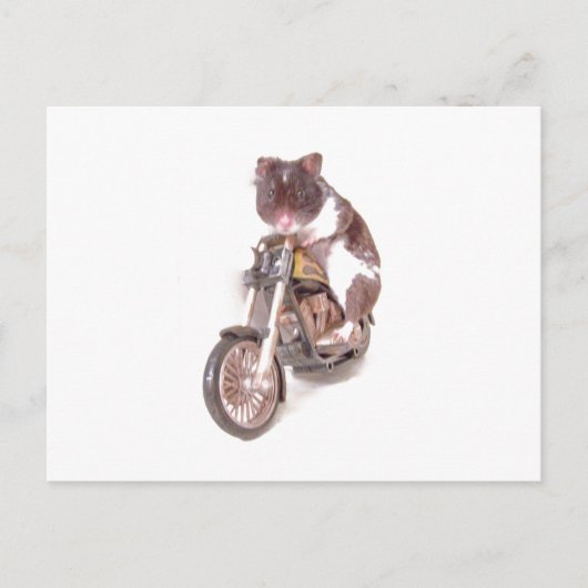 Motorradhamster-Postkarte Postkarte (Vorderseite)