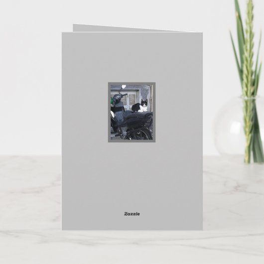 MOTORRADKATZE/SPASS (Rückseite)