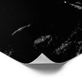 Motte auf dem Schädel Poster (Ecke)