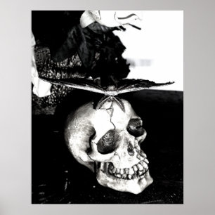 Motte auf einem Schädel Poster