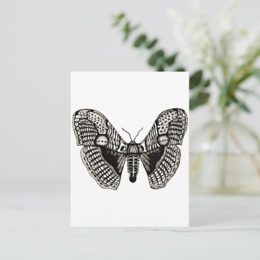 Motte Postkarte (Stehend Vorderseite)