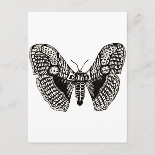 Motte Postkarte (Vorderseite)