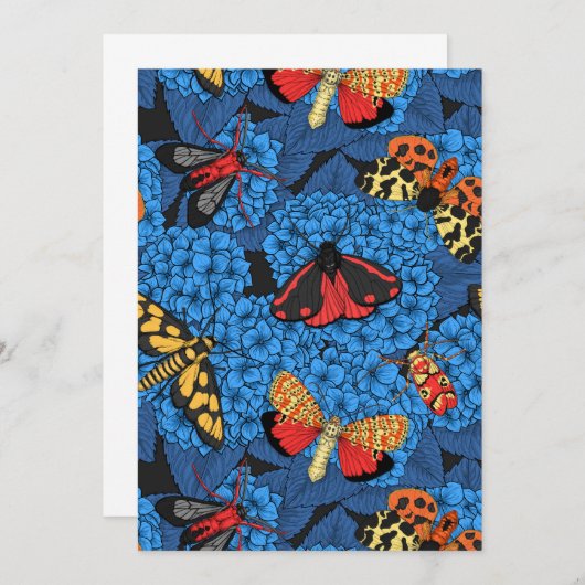 Motten auf blauem Hydrangea (Vorne/Hinten)